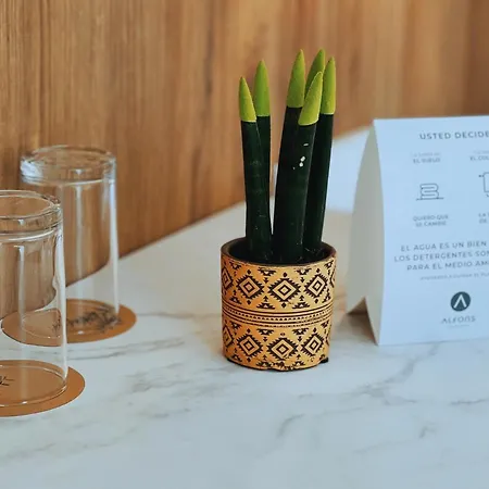 Alfons Ciutadella (Menorca)